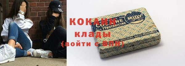 мдпв Белокуриха
