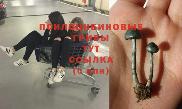 наркотики Богородицк