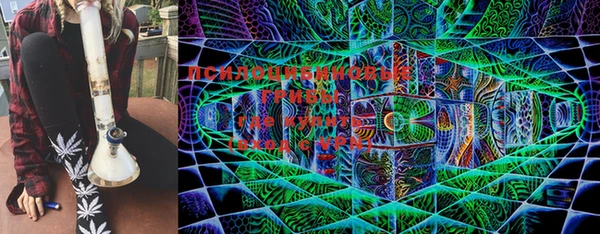 mdma Богданович