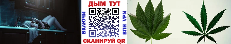 Канабис OG Kush  Новый Уренгой 